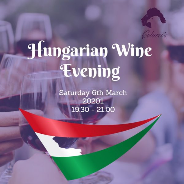 Hungarian wine tasting event